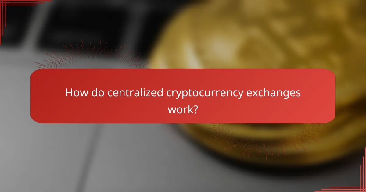 How do centralized cryptocurrency exchanges work?